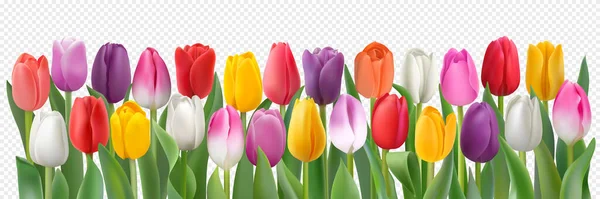 Modello di tulipani colorati — Vettoriale Stock