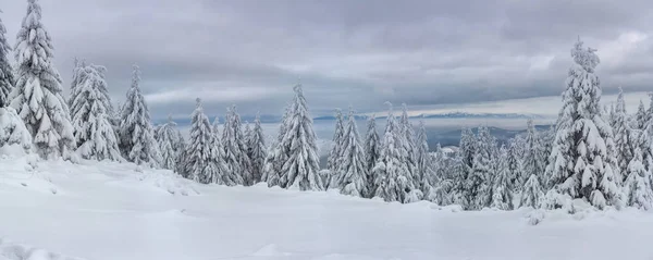 Laderas Montaña Cubiertas Con Una Gruesa Capa Nieve — Foto de Stock