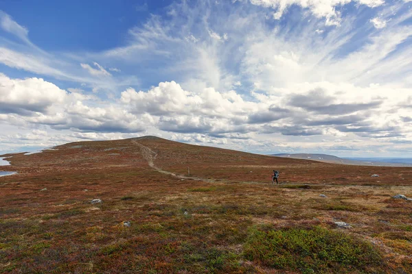 Etkin Yaşam Biçimi