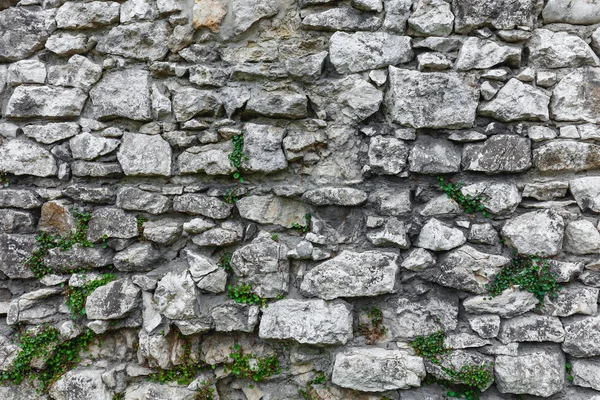 Old stone background for desing — Stock Photo, Image