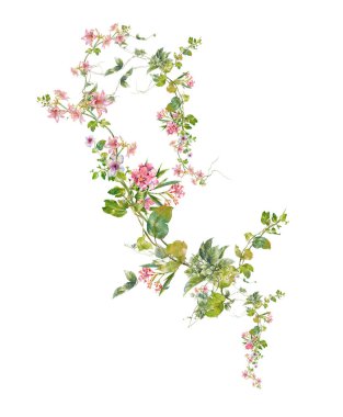 Beyaz arkaplanda yaprakların ve çiçeklerin suluboya resmi 