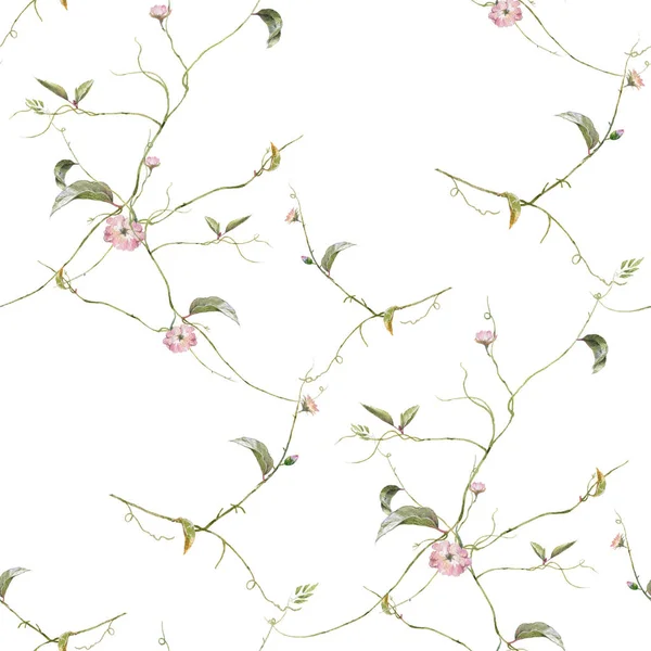 Akvarell Målning Blad Och Blommor Sömlös Mönster Vit Bakgrund — Stockfoto