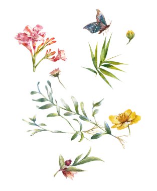 Beyaz arkaplanda yaprakların ve çiçeklerin suluboya resmi 