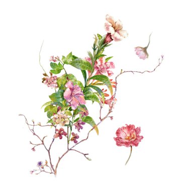 Beyaz arkaplanda yaprakların ve çiçeklerin suluboya resmi 