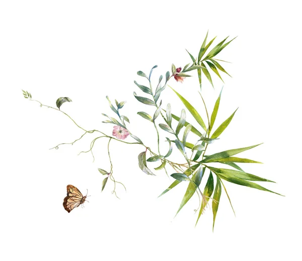 Malba Akvarel Listí Květina Motýl Bílém Pozadí — Stock fotografie