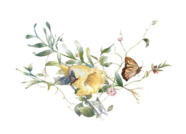 Malba Akvarel Listí Květina Motýl Bílém Pozadí — Stock fotografie