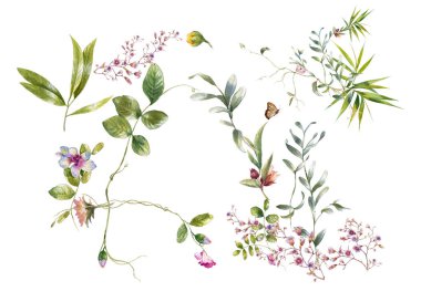 Beyaz arkaplanda yaprakların ve çiçeklerin suluboya resmi 