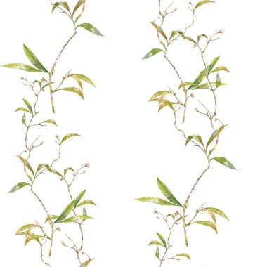 Yaprak ve çiçeklerin suluboya resmi, beyaz arkaplanda pürüzsüz desen