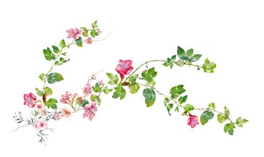 Beyaz arkaplanda yaprakların ve çiçeklerin suluboya resmi 