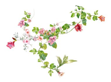 Beyaz arkaplanda yaprakların ve çiçeklerin suluboya resmi 