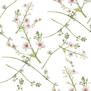 Yaprak ve çiçeklerin suluboya resmi, beyaz arkaplanda pürüzsüz desen