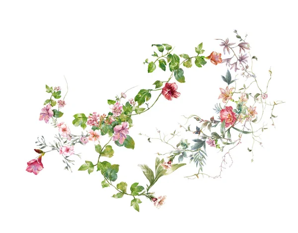 Акварельне Розфарбування Листя Квітки Білому Тлі — стокове фото