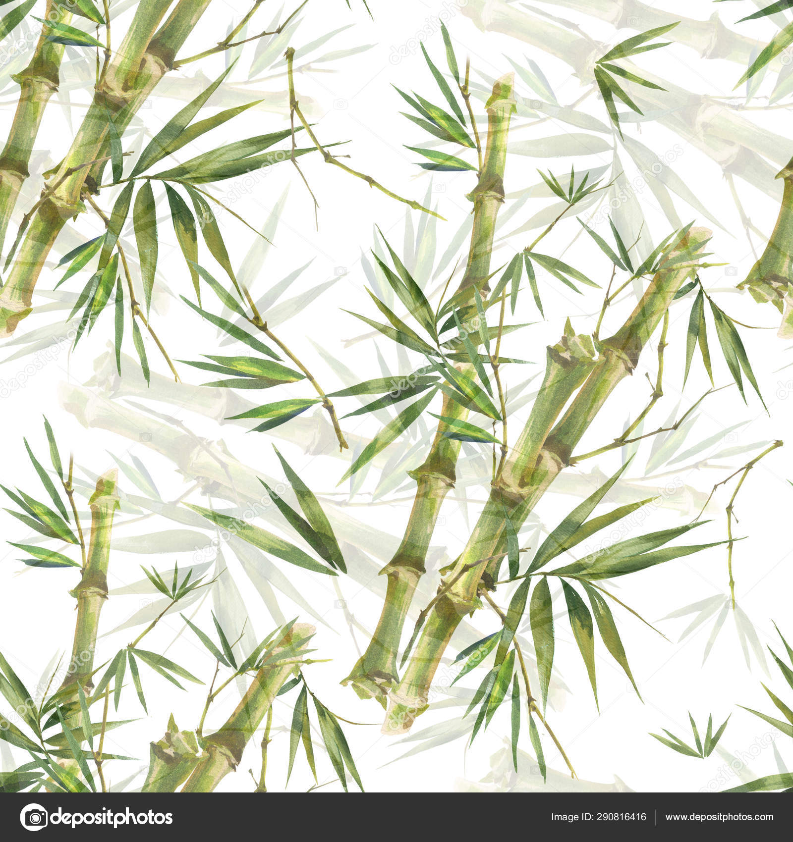Ilustración Acuarela Hojas Bambú Patrón Sin Costuras Sobre Fondo Blanco  Ilustración de stock #290816416 de ©photoiget0921, image size:1600x1700