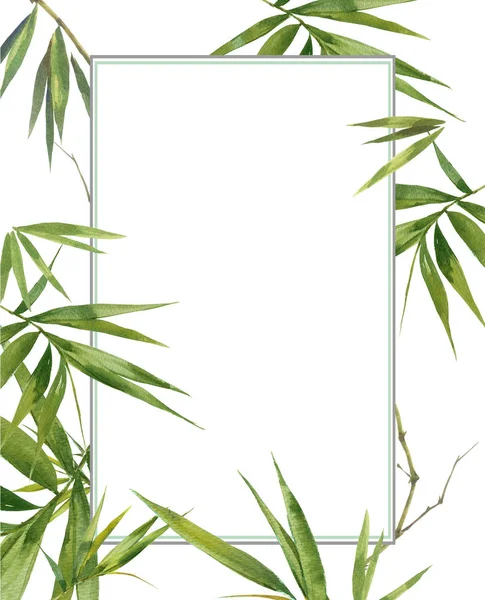 Watercolor illustration painting of bamboo leaves , on white background