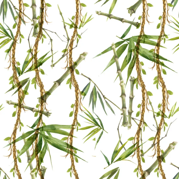 Ilustração Aquarela Folhas Bambu Padrão Sem Costura Fundo Branco — Fotografia de Stock