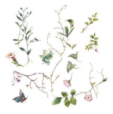 Beyaz arkaplanda yaprakların ve çiçeklerin suluboya resmi 