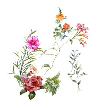 Beyaz arkaplanda yaprakların ve çiçeklerin suluboya resmi 