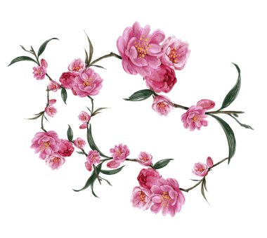 Beyaz arkaplanda yaprakların ve çiçeklerin suluboya resmi 