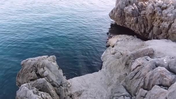 Riool gelegd door rots kijkt uit op zee en voert afval in vijver. Camera beweegt langs pijp, schieten met drone. Wereldwijde ecologische problemen, milieuvervuiling en vernietiging van natuurschoon. — Stockvideo