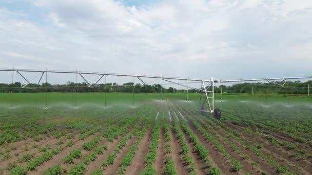 Movable sprinkler system and irrigation machine watering crops beds on fields in rural area, front view, drone shooting. Equipment for agricultural industry maintenance — Stock Video