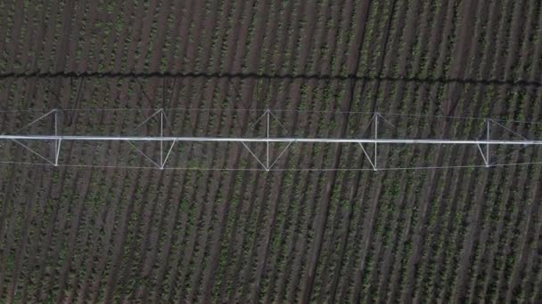 摄像机沿着可移动的农田灌溉系统的工作部分移动，在农村地区的田野上浇灌作物床，俯瞰，无人驾驶飞机射击。农用工业维护设备 — 图库视频影像