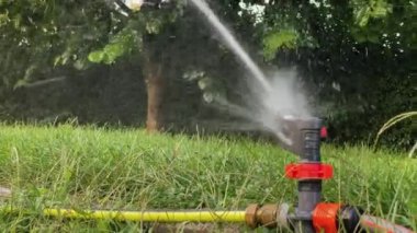 Otomatik fıskiye ve sulama sistemi bahçedeki ya da evin önündeki sulu yeşil çimenleri suluyor, sprey her yöne uçuyor, sıcak mevsimde bitkilerin bakımını yapıyor, kapanıyor. Arkaplanda ağaçlar
