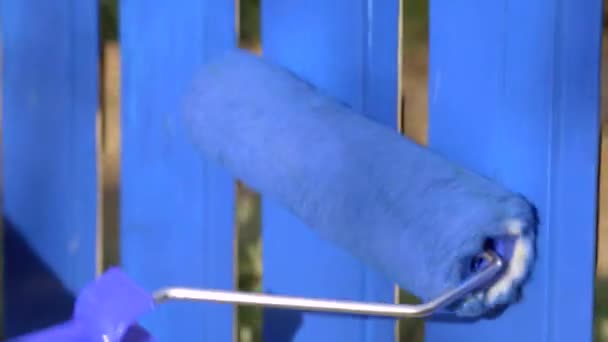Fermer rouleau de peinture roulant le long de la clôture en bois avec un colorant bleu vif. Maison concept de travail décoratif. À l'extérieur — Video