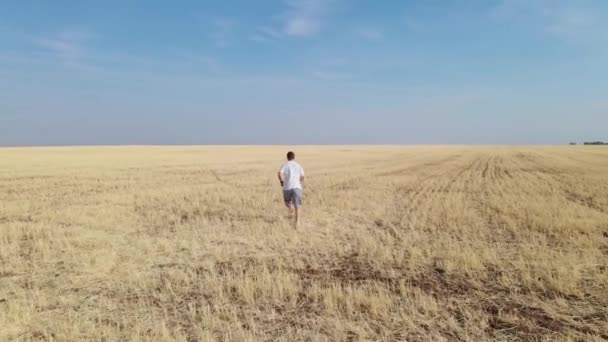 L'homme athlétique court à travers le champ fauché séché après avoir récolté du blé au loin, tirant des drones sous différents angles. Se sentir seul ou libre, essayer de s'éloigner des problèmes — Video