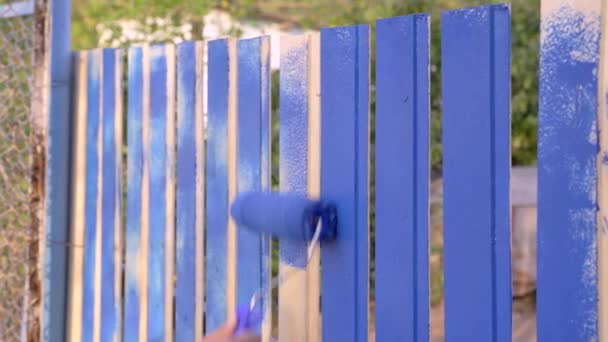 Lavoratore dipinge pannelli di recinzione in legno con rullo e tintura blu sul terreno o in cantiere. Lavori di costruzione o riparazione nel cortile o in casa di campagna nel villaggio — Video Stock