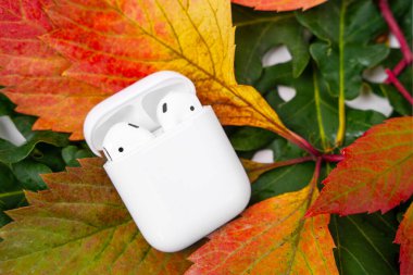 29 Ağustos 2020 Rostov, Rusya: Modern kablosuz şarj edilebilir kulaklıklar Apple AirPods açık şarj çantası renkli sonbahar yaprakları, üst görünüm.
