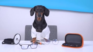 Doktor kostümlü, görüş düzeltmesi için gözlüklü komik dachshund köpek göz doktoru, masaüstünde profesyonel ekipman, arka planda göz testi için harfleri olan posterler.