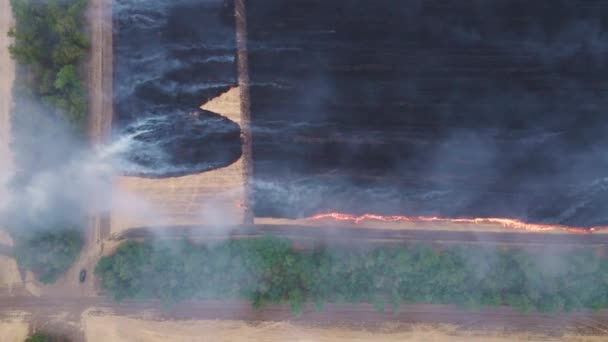 불같은 농경지 위를 날고 있는 드론의 높이에서 사격하는 장면, 타 버린 땅과 숲의 띠. 계절적 인 수확이 있은 후에는 마른 풀을 태우고 맨 윗부분을 태우게 된다. — 비디오