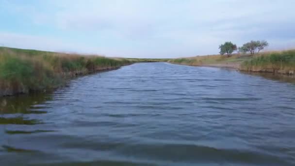 Стріляючи з дрона, який летить низько над поверхнею води, качки плавають у річці, дерева, очерет і сушена трава ростуть вздовж берегів. Сільський пейзаж з степовими просторами в сільській місцевості — стокове відео