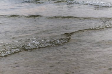 Baltık Denizi. Plaja yakın küçük dalgalar. Deniz, Doğa, romantizm, aşk, gevşeme, ilgili site için deniz arka plan seyahat.