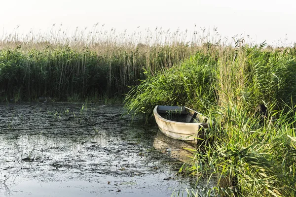 Bateau Pêche Bois Tôt Matin Roseaux Envahis Sur Golfe Vistule — Photo