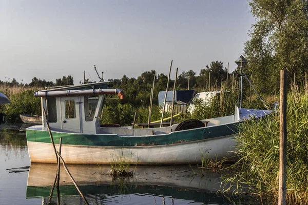 Vistula Bay erken sabahı. Bir balıkçı teknesi küçük bir ahşap İskeleye demirlemiş. Sazlık ve sessiz su. Doğa, deniz, Balık tutma, sanat, arka plan hakkında site.