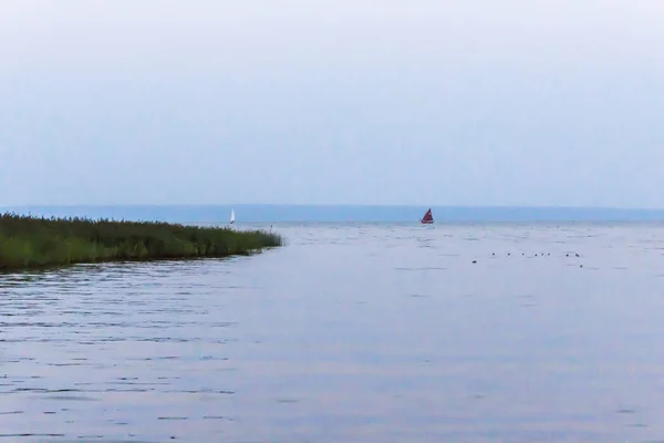 维斯瓦河湾是一个炎热的夏天 在地平线上航行的游艇 关于旅行 船舶的网站 — 图库照片