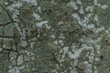 Makro fotoğraf. Eski bir mavi boya doku. Birkaç kat. Evin beton duvar yağmur tarafından yıkandı. Farklı siteler için iyi bir arka plan.