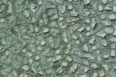 Makro fotoğraf. Eski bir mavi boya doku. Birkaç kat. Evin beton duvar yağmur tarafından yıkandı. Farklı siteler için iyi bir arka plan.