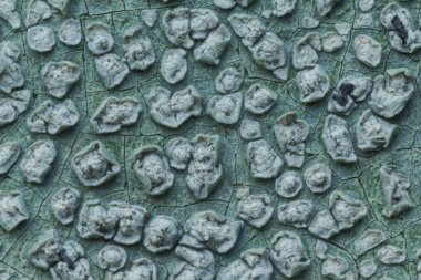 Makro fotoğraf. Eski bir mavi boya doku. Birkaç kat. Evin beton duvar yağmur tarafından yıkandı. Farklı siteler için iyi bir arka plan.