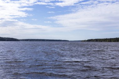 Erken sonbahar. Güneşli bir gün. Volga Nehri yakınında Konakovo. Yoğun orman kıyısında. Tver bölgesi, site hakkında seyahat için Merkez Russia.A arka plan.