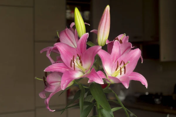 ピンクのユリの花が咲いてください ピンク色 茶色の雄しべ 雌しべの花びら グリーンを Burgeons します アート 花束のサイトの良い背景 — ストック写真