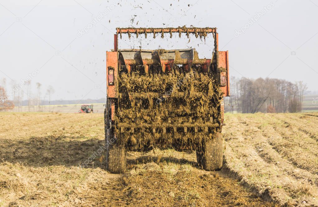 Late autumn. Tractor with trailer. Field fertilized with natural manure. Cow dung mixed with straw. Background - village house. Podlasie, Poland.