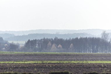 Arka sis sonbahar ormanlarda. Sürülmüş alanlar ve ön planda yeşil çayırlar. Podlasie, Polonya.