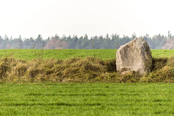 フィールドの間の境界線上にある大きな花崗岩の岩 緑の野原と地平線の森 ポーランドのポドラシェ県 — ストック写真