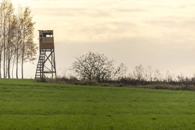 Sabah erkenden. Ahşap avcılık kule alanın kenarında. Av yaban domuzları, geyik ve karaca. : Podlaskie, Poland.