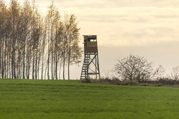 Sabah erkenden. Ahşap avcılık kule alanın kenarında. Av yaban domuzları, geyik ve karaca. : Podlaskie, Poland.