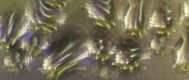 Makro fotoğraf. Soyut aqua desen arka plan olarak. Renkli bükülmüş yansımaları ışık ve su damlaları fenerler.