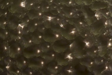 Makro fotoğraf. Soyut aqua desen arka plan olarak. Karanlık görüntü. Camına su damlaları içinde sarı ışık renkli bükülmüş yansımaları.