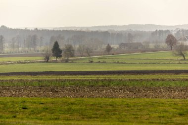 Geç sonbaharda. Yeşil çayırlar ve ön planda sürülmüş alanlar. Yalnız tuğla ev içinde belgili tanımlık geçmiş. Site agroindustry, tarım, hava durumu, mevsim hakkında.